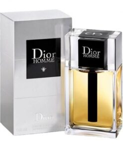CHRISTIAN DIOR HOMME 100 ML EDT