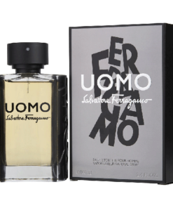 SALVATORE FERRAGAMO UOMO  100 ML EDT