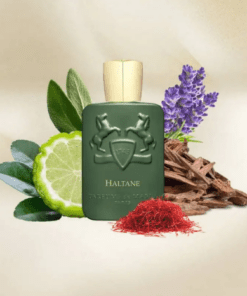 PARFUMS DE MARLY HALTANE HOMBRE 125 ML EDP (TESTER)