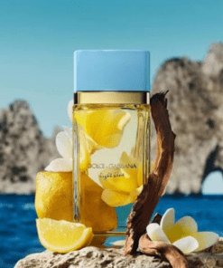 DOLCE GABBANA LIGHT BLUE MUJER 100 ML (NUEVO EAU DE PARFUM)
